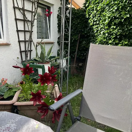 Apartment Zum Ehemaligen Kaffeekaennchen